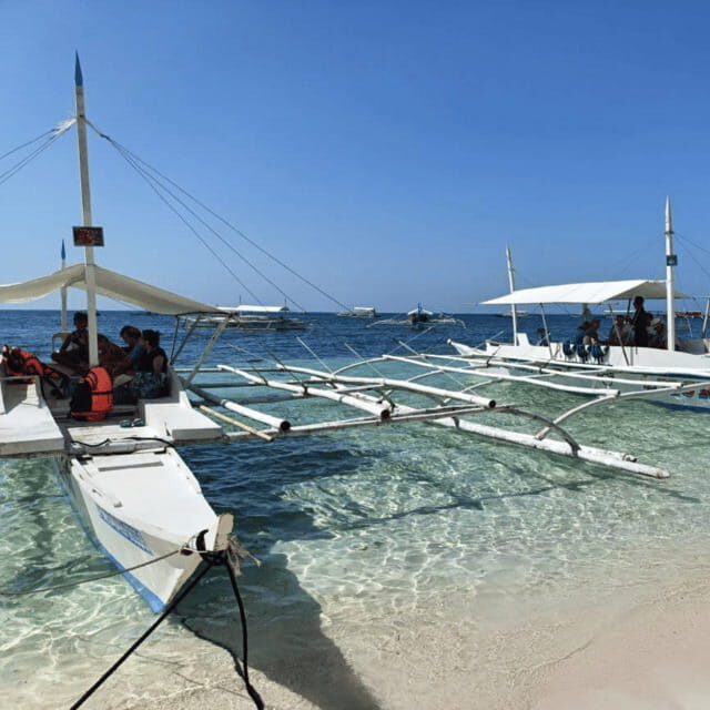Bohol: Panglao Island Hopping Tour with Snorkeling (Private) - Dawn dolphin watching from Panglao’s South Beach