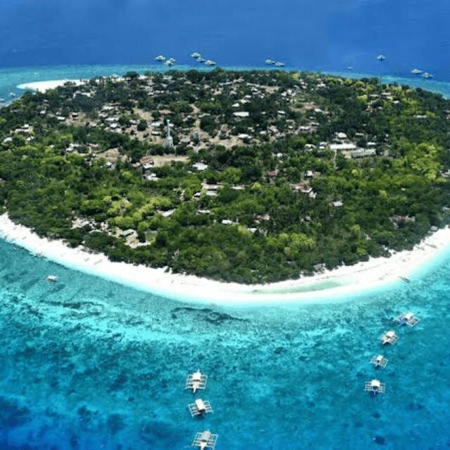 Bohol: Panglao Island Hopping Tour with Snorkeling (Private) - Timing, swimming comfort, and what to bring