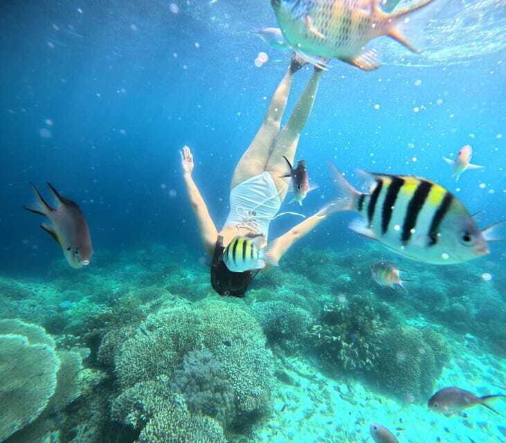 Bohol: Panglao Island Hopping Tour with Snorkeling (Private) - FAQ