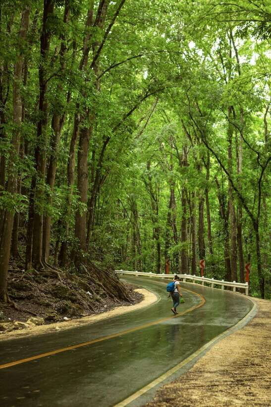 Bohol: Premium Chocolate Hills, Tarsiers & River Experience - A Smooth Premium Bohol Day: What You Get for the Price