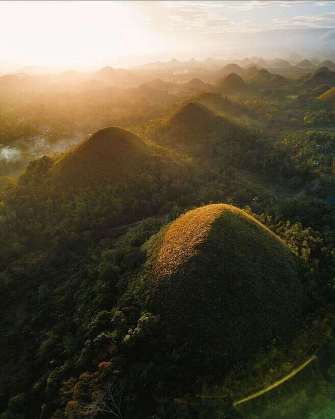 Bohol: Premium Chocolate Hills, Tarsiers & River Experience - Man-Made Forest Stop: The Break Your Legs Will Appreciate