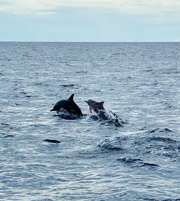 Bohol PREMIUM PAMILACAN Island Tour - What to bring so the day doesn’t derail