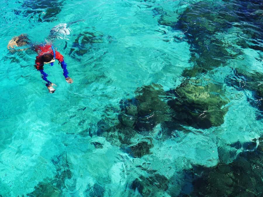 Bohol: Private Balicasag Tour with extra snorkeling time - Price and Value: Is $110 Worth It for Balicasag?