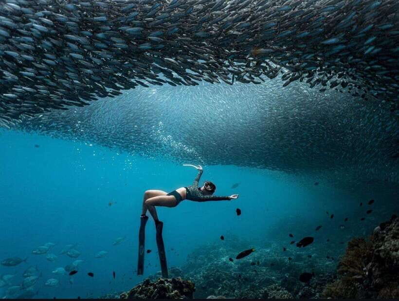 Bohol: Snorkel One of PH’s Largest Sardine Schools - Key highlights you’ll actually feel in the water