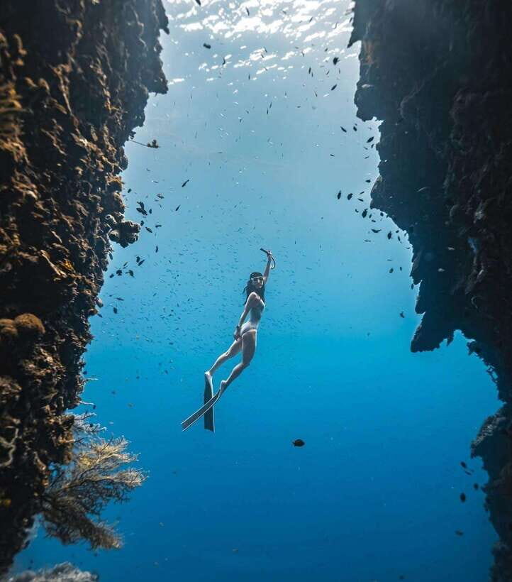 Bohol: Snorkel One of PH’s Largest Sardine Schools - The short itinerary: Panglao entry to three reef stops