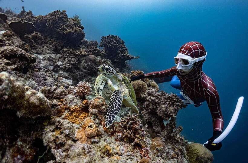 Bohol: Snorkel One of PH’s Largest Sardine Schools - Price and extra fees: what $24 really covers