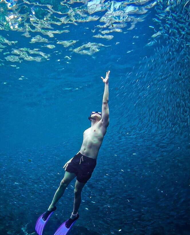 Bohol: Snorkel One of PH’s Largest Sardine Schools - Timing: why starting early makes your whole Bohol day easier