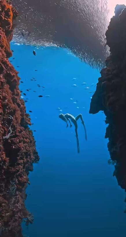 Bohol: Snorkel One of PH’s Largest Sardine Schools - Gear and guide support, without the chaos