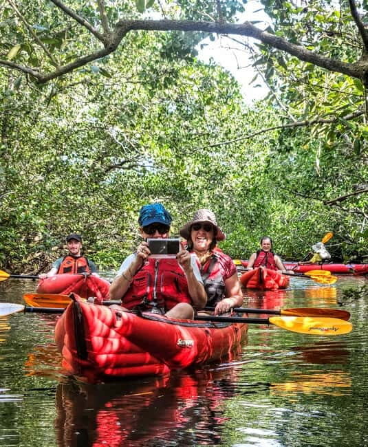 Bohol: SUSTAINABLE Mangrove Tunnels & Firefly Kayaking trail - Firefly watching after sunset: the calm, coordinated glow