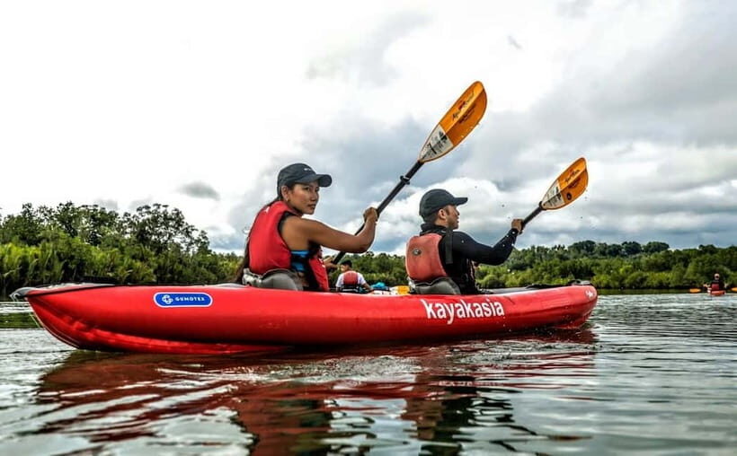Bohol: SUSTAINABLE Mangrove Tunnels & Firefly Kayaking trail - How the guide team brings mangroves and conservation to life