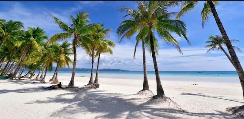 Bohol: Swim with Sea Turtles, Dolphins & Island Hopping Tour - When Weather Changes the Plan: How Flexible Should You Expect It to Be?