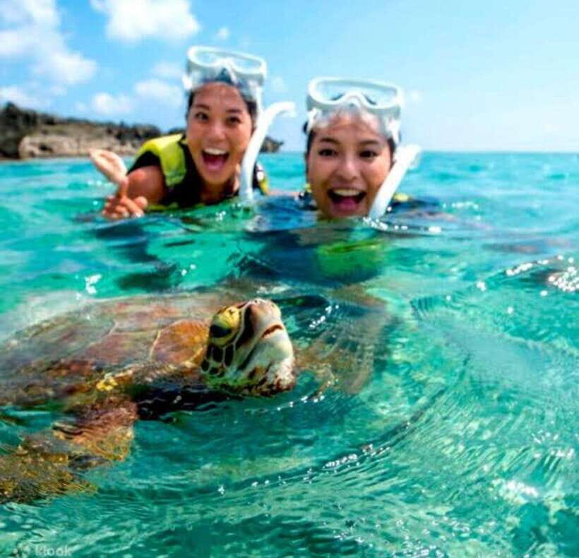 Bohol: Swim with Sea Turtles, Dolphins & Island Hopping Tour - The 6:00 AM Meetup at McDonald’s Alona Beach (and What It Means for You)