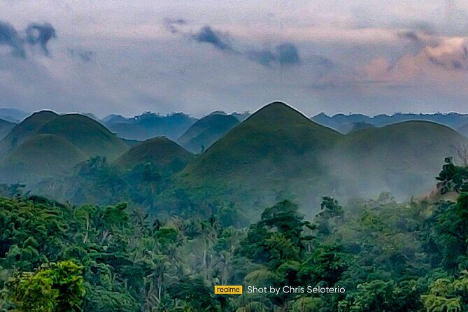 BOHOL Tour 2026 - Chocolate Hills, Tarsier and River Cruise Lunch - Tarsier Conservation Area: small animal, big attention