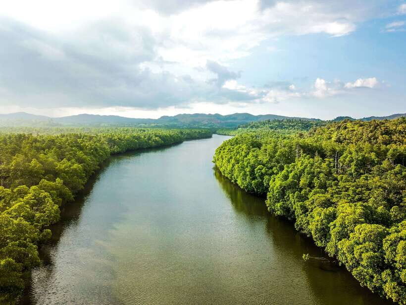 Bohol Tour Package: 3-Day Paradise Adventure - Tarsier Sanctuary and Bilar’s Man-Made Forest: Tiny Wildlife, Big Stillness