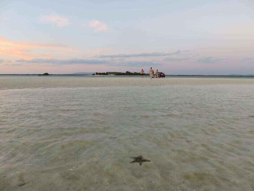 Bohol Virgin Island Sunset Tour - The Boat-and-Transfer Rhythm That Keeps It Relaxed