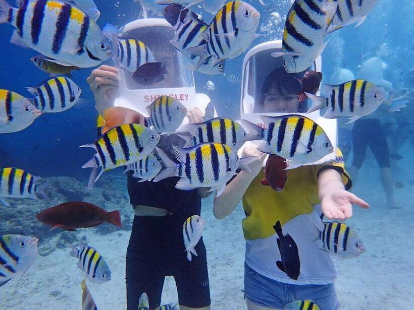 Boracay: Aquanaut Adventure with Photos and Videos - The 15-Minute Aquanaut Adventure: What Happens When You Go In