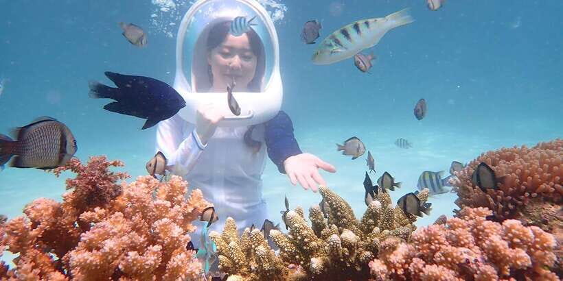Boracay: Helmet Diving Experience with Photos and Videos - The Helmet Reef Walk Concept: Why This Feels Easier Than Full Scuba