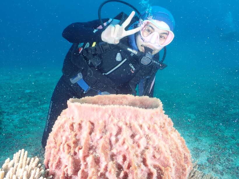 Boracay: Introduction to Scuba Diving Experience - Key highlights I’d anchor on