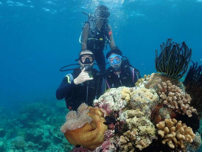 Boracay: Introduction to Scuba Diving Experience - The shallow-water coaching that makes or breaks the experience