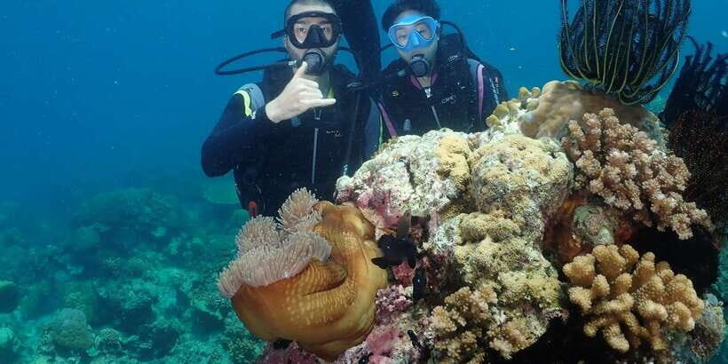 Boracay: Introduction to Scuba Diving Experience - Who this Boracay intro scuba session fits best (and who should skip)