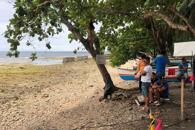 Budgeted Bohol Whale Shark - The snorkel experience: equipment, timing, and underwater photos