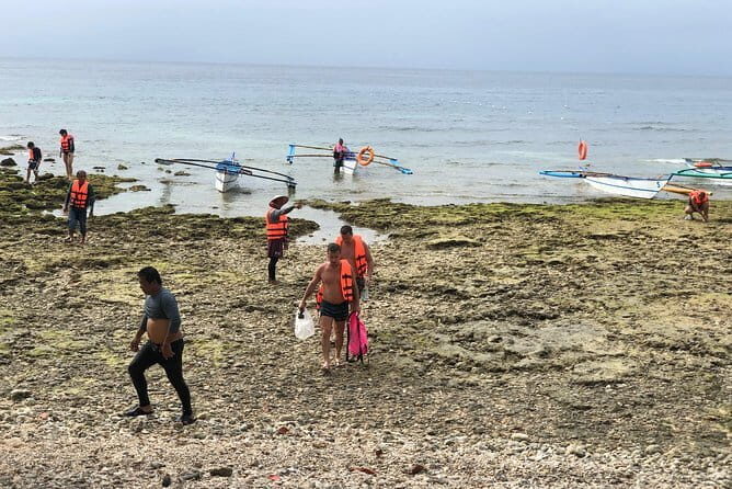 Budgeted Bohol Whale Shark - Optional add-ons after the swim (and why they work)