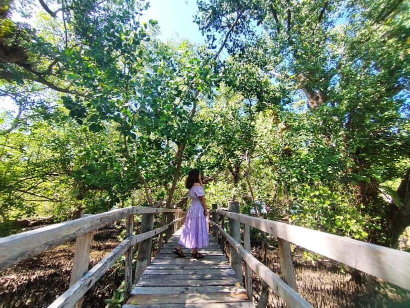Camiguin: White Island Mantigue Island Exploration - Price and Value: What $178 Includes (and What It Doesn’t)