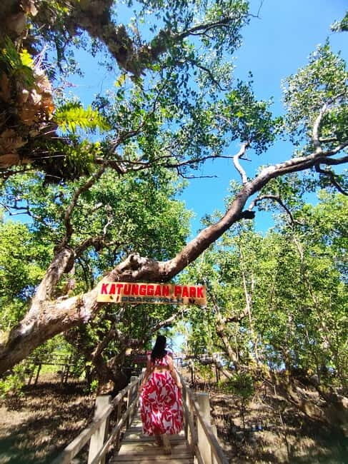 Camiguin: White Island Mantigue Island Exploration - Katunggan Park Mangroves: Wooden Bridge Photos and a Swim Break
