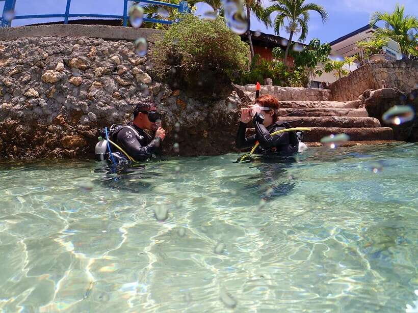 Cebu: Beach Scuba Diving Experience - Marine Life You’ll Actually Care About: Sardines and Sea Turtles