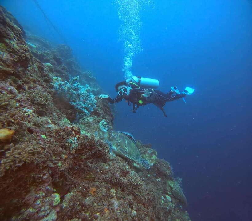 Cebu: Beach Scuba Diving Experience - Should You Book This Cebu Scuba Session?