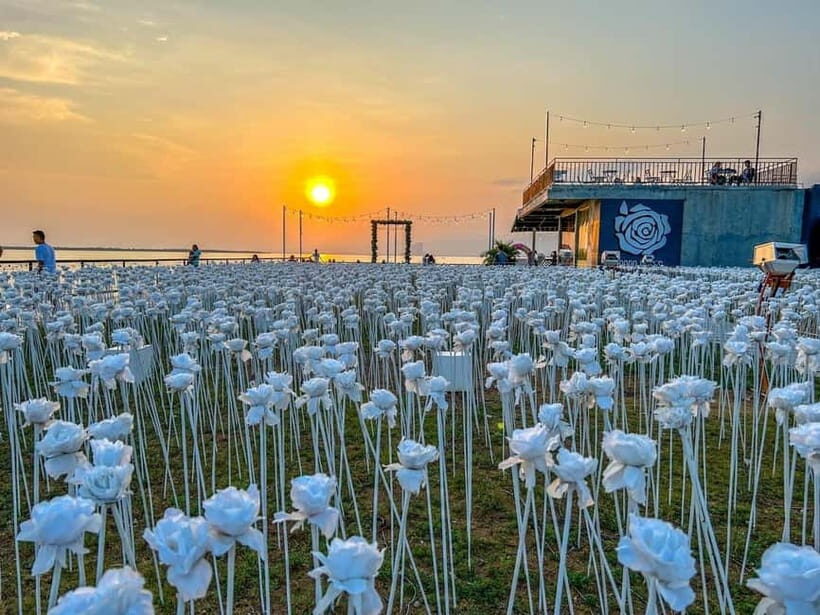 Cebu City: City and Mountain Highlights Tour - Sirao Flower Farm: Sirao Flower Garden and the Little Amsterdam vibe
