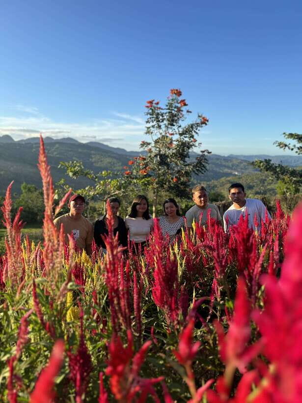 Cebu: City Highlights with Sirao Flower Garden Visit - Cebu City uphill-and-downhill timing that makes sense