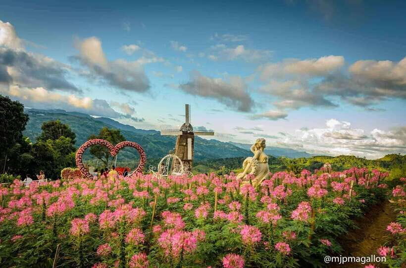 Cebu City: Historical, Local Cuisine & Mountain Guided Tour - Getting Started: Hotel Pickup, Small-Group Pace, and Rain-or-Shine Reality