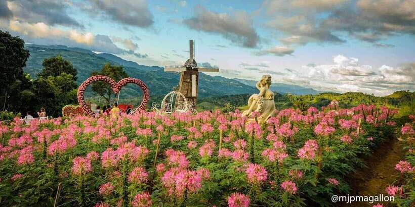 Cebu City: Historical, Local Cuisine & Mountain Guided Tour - Chixboy Mountain Restaurant: Free 500 PHP Lunch and What the Snacks Usually Look Like