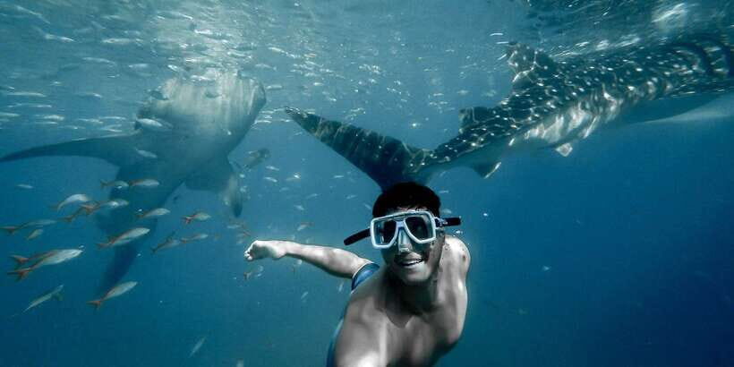 Cebu City: Whale Shark Swimming & Kawasan Falls Canyoneering - Canyoneering in Badian: jumps, slides, and the guide’s role in your safety