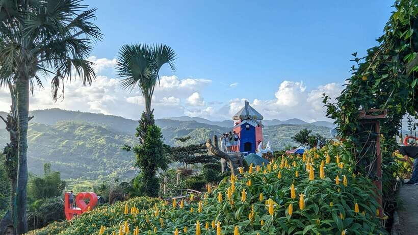 Cebu City with Sirao Garden Half Day Tour - Key Points You’ll Appreciate