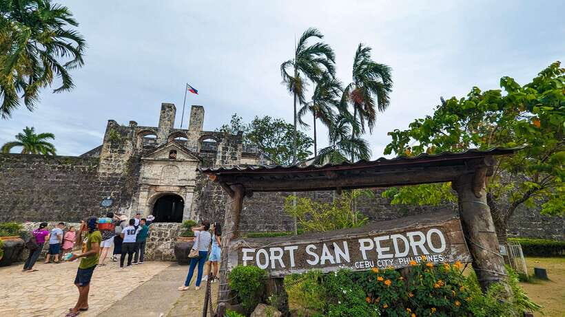 Cebu City with Sirao Garden Half Day Tour - Sirao Garden in the Morning Light: Flowers, Art, and Easy Photos