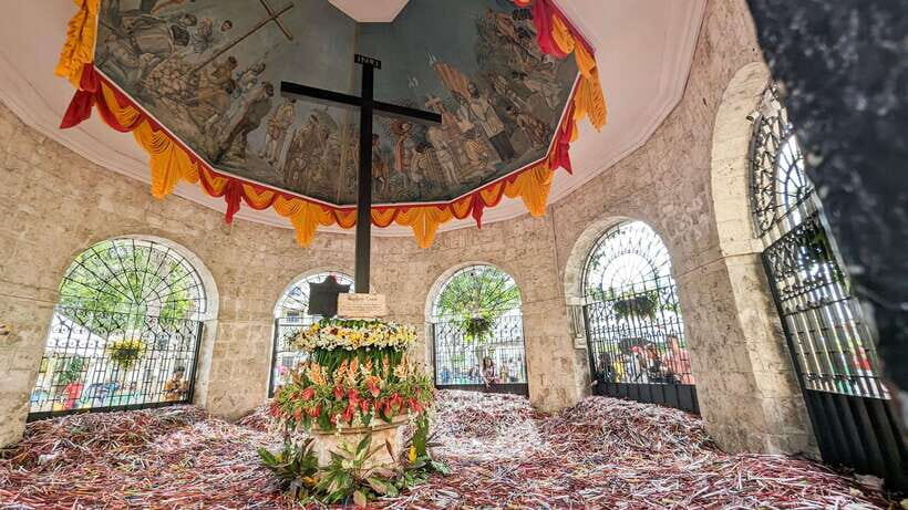 Cebu City with Sirao Garden Half Day Tour - Who This Tour Fits Best (and Who Should Skip It)