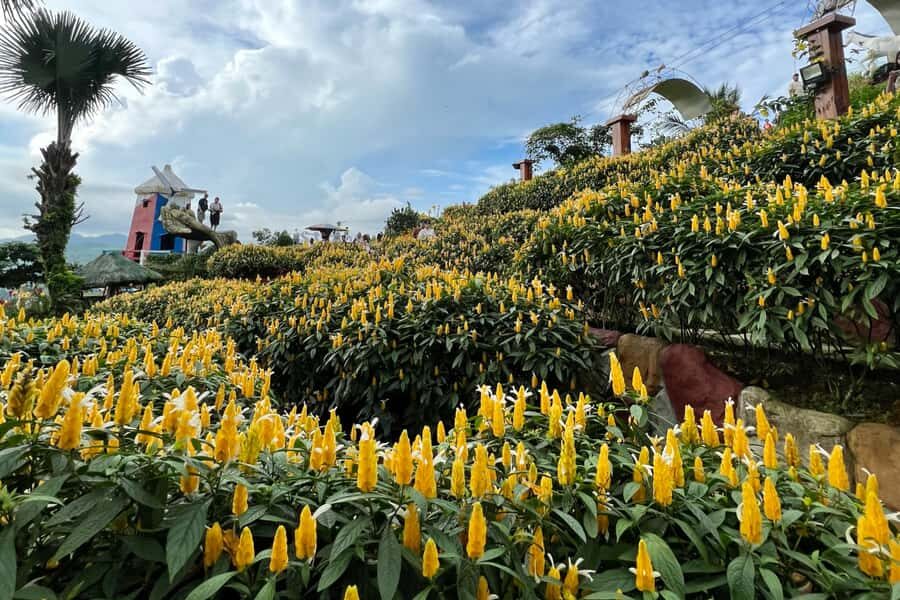 Cebu: Highlands Guided Tour w/ Hotel Pickup - Key highlights you’ll actually feel