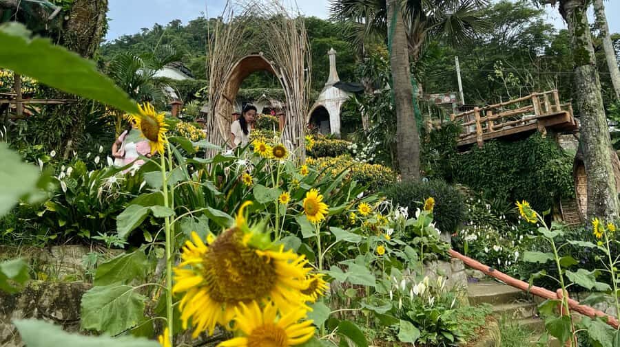 Cebu: Highlands Guided Tour w/ Hotel Pickup - Price and value: why $47 feels fair for this route