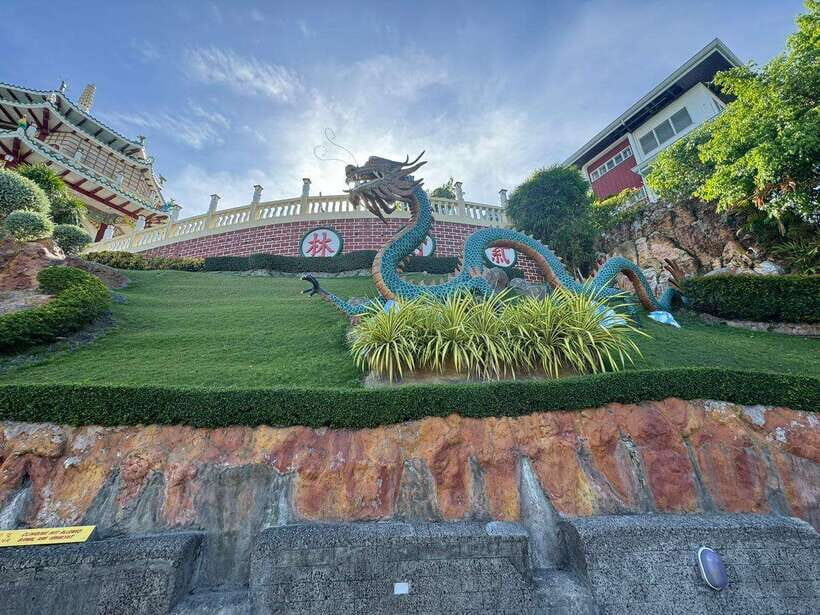Cebu Highlands: Half-Day Escape with Optional Lunch - Sirao Garden: celosia blooms, windmills, and fast photo magic