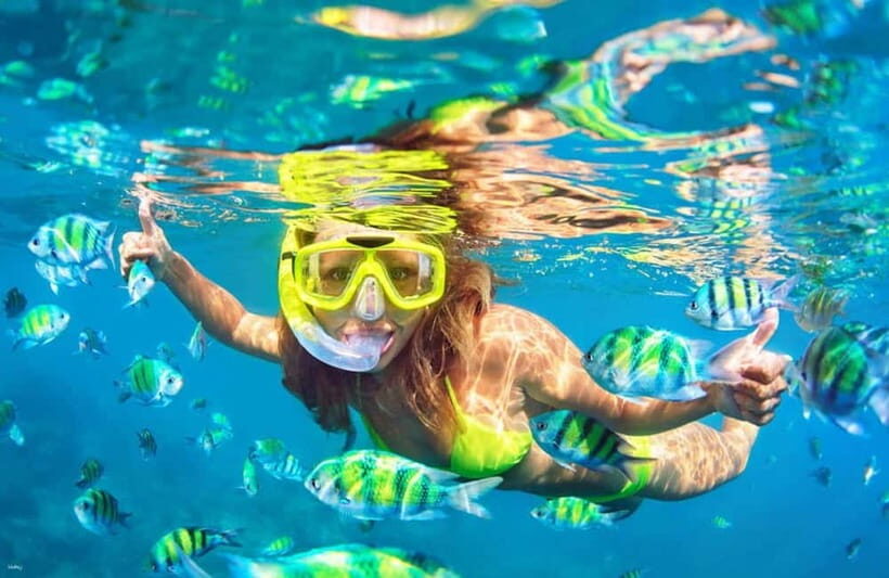 Cebu: Island Hopping 3 Islands + San Vicente Fish + Lunch - Key highlights you’ll actually feel