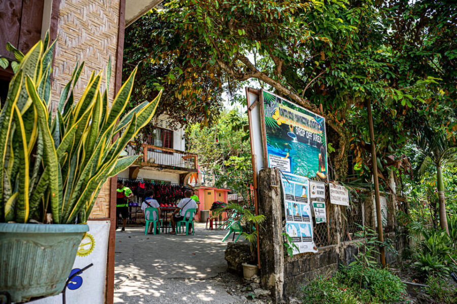 Cebu: Kawasan Canyoning, Moalboal Snorkeling, & Turtles Tour - FAQ