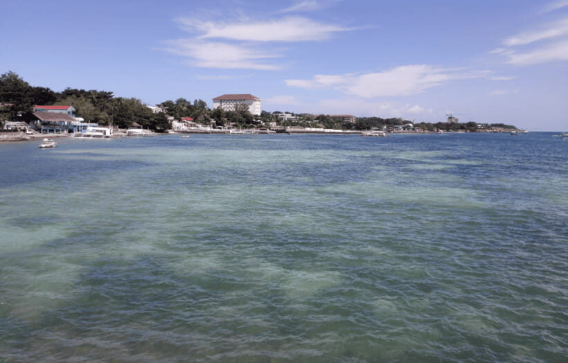 Cebu & Lapu-Lapu City Tour With Lunch at House of Lechon - Price and What You’ll Need to Budget Beyond the Tour Fee