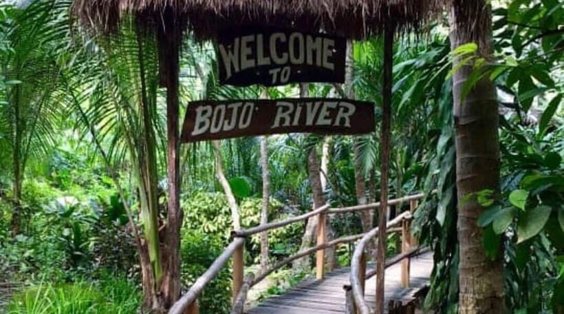 Cebu: Mantayupan Falls, Hermit's Cove & Bojo River Eco Tour - Bojo River eco cruise: mangroves, birds, and a community guide who explains what you’re seeing