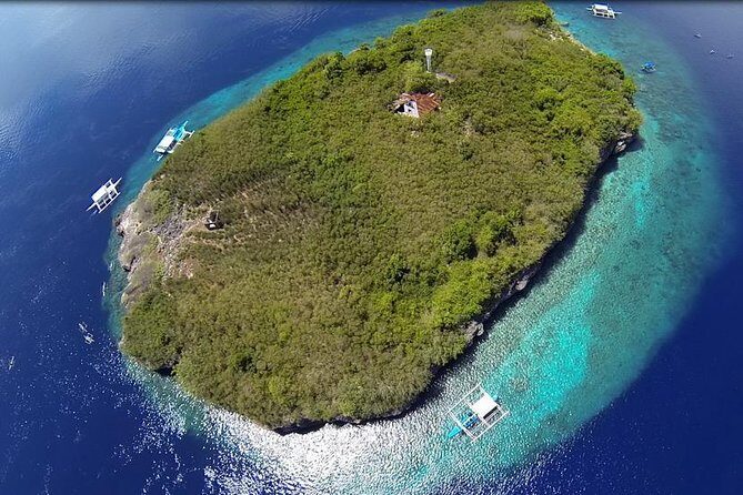 Cebu Moalboal Beach, Sardine Run, Sea Turtle Viewing + Canyoneering Tour - Why Moalboal’s Sardines and Sea Turtles Make This a Full-Day Winner