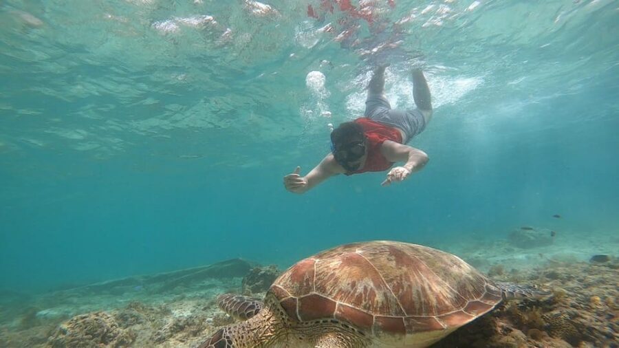 Cebu: Moalboal Island Hopping and Mantayupan Falls Day Trip - What’s Included (and What You’ll Pay For Yourself)