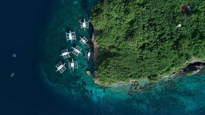 Cebu: Moalboal Sardines and Turtles Snorkeling Tour - Talisay Point Sea Turtles: Slow Your Pace and Look Closer