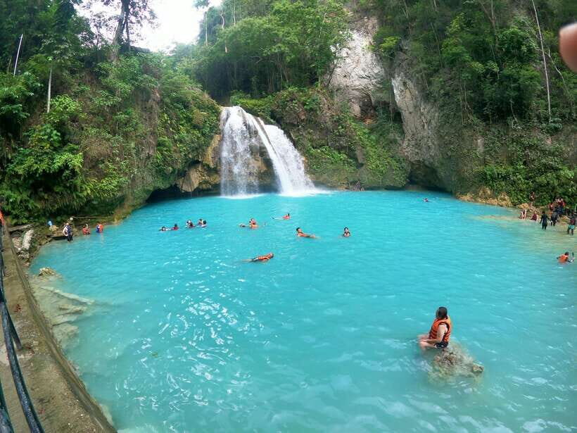 Cebu: Moalboal Sardines Run Snorkel & Kawasan Canyoneering - Finding sea turtles: how to maximize your chances in Moalboal