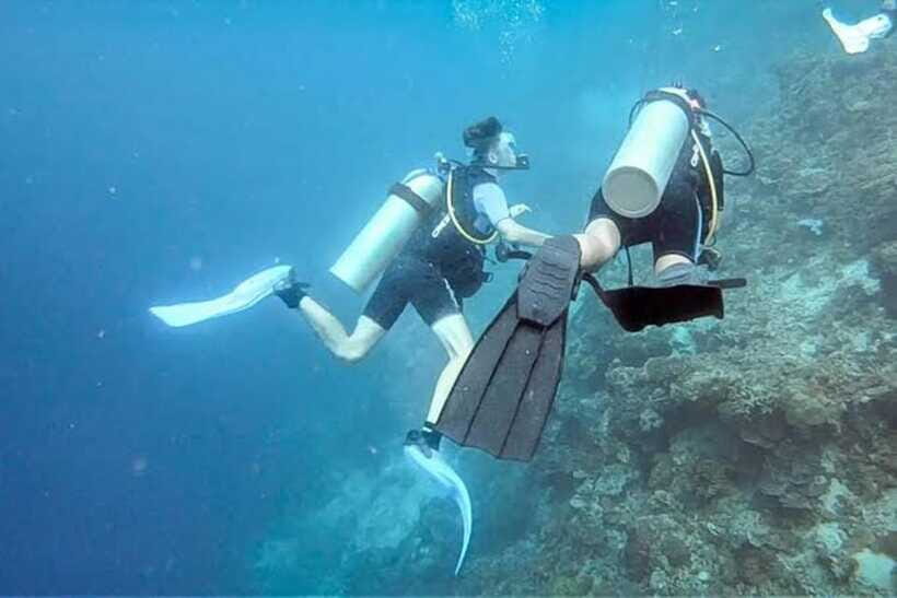 Cebu: Moalboal Scuba Diving, Sardines Run & Pescador Snorkel - The Itinerary Rhythm: Pickup, Travel Time, and Where You’ll Spend Hours
